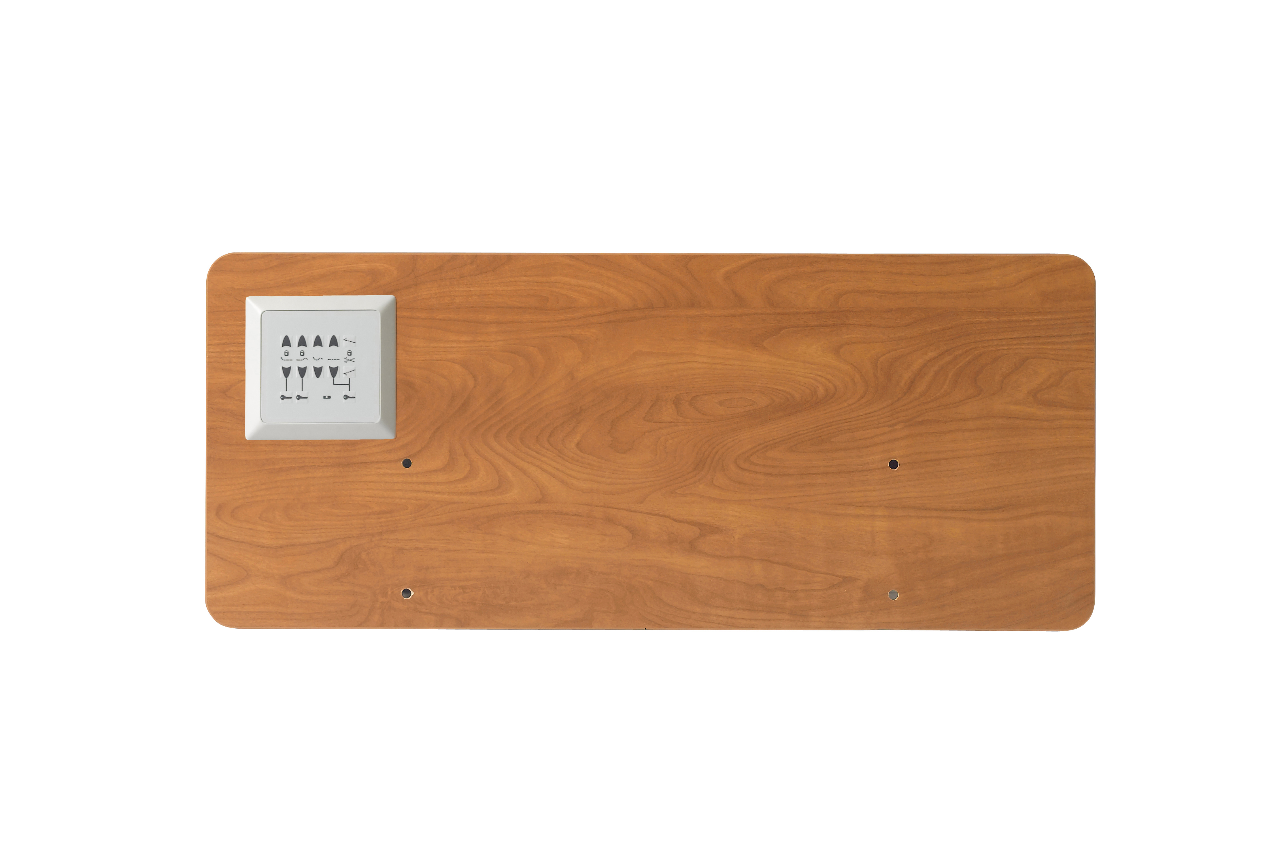 Long Term Care Fully Adjustable Trendelenburg Low Bed