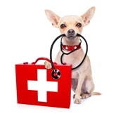 Buy Pet Medical Supplies Serving West University Place, TX