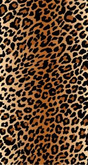 LEOPARD: LEOPARD