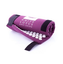 anti aging acupuncture euro mat