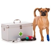Buy Pet Health Supplies Serving Upper West Houston, TX