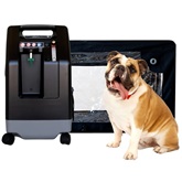 Pet Oxygen Therapy Rental Serving Memorial, TX