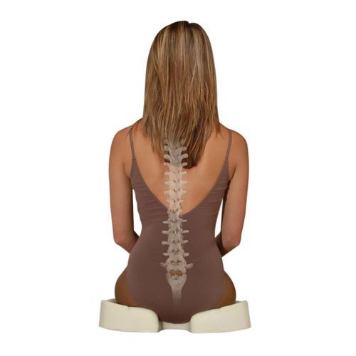 Kabooti Seat Cushion 3 in 1