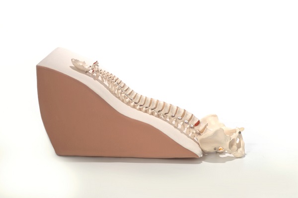 BackMax Ergonomic Cushion and Wedge System